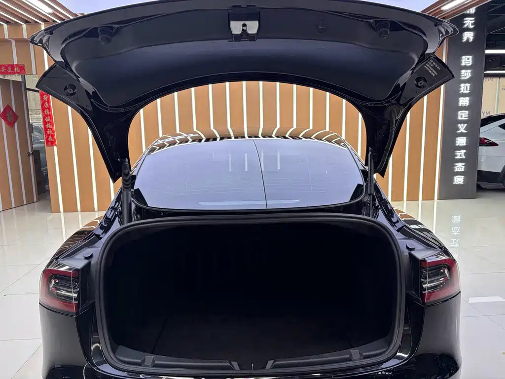 Tesla Model 3 — миниатюра 13