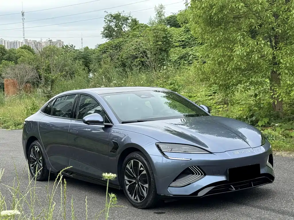 BYD Seal 2022 550km Elite