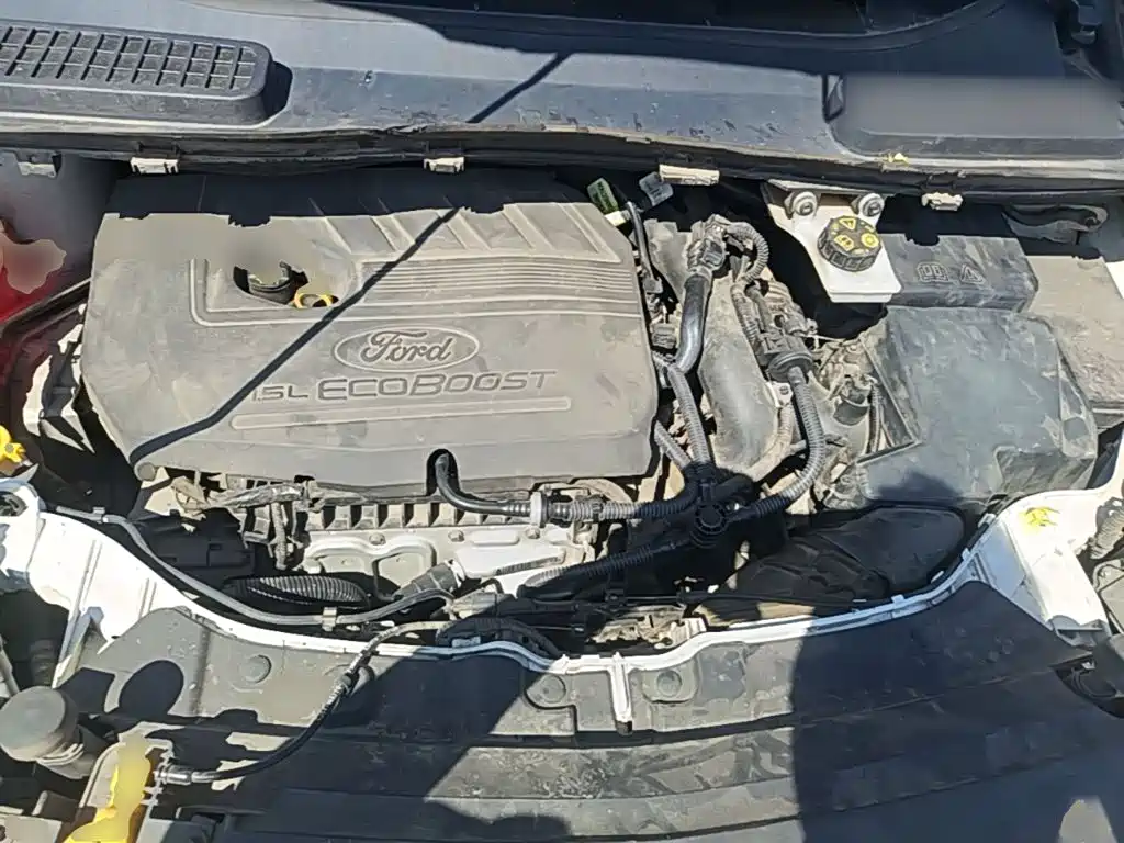 Ford Kuga — миниатюра 20