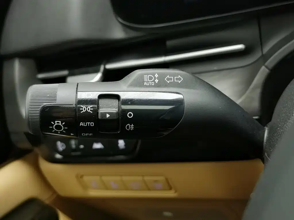 Kia Carnival — миниатюра 21