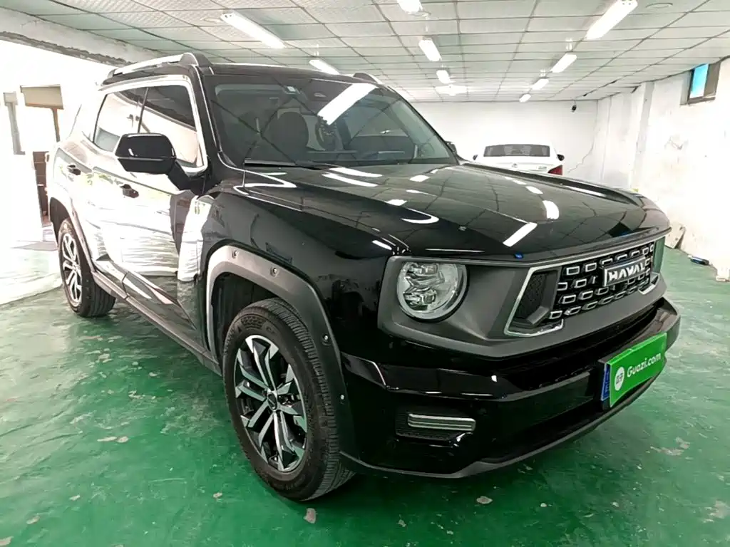 Haval Big Dog PLUS — миниатюра 4