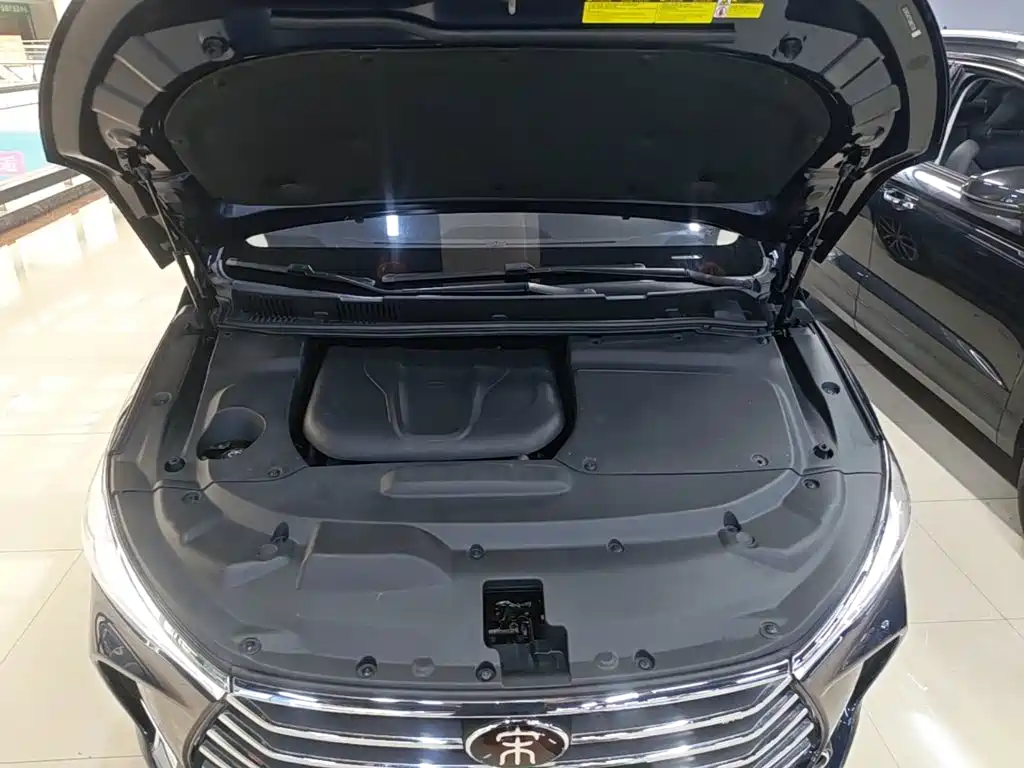 BYD MAX — миниатюра 20