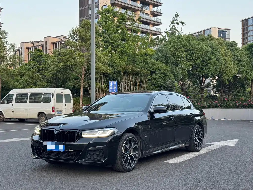 BMW 5 Series 2020
