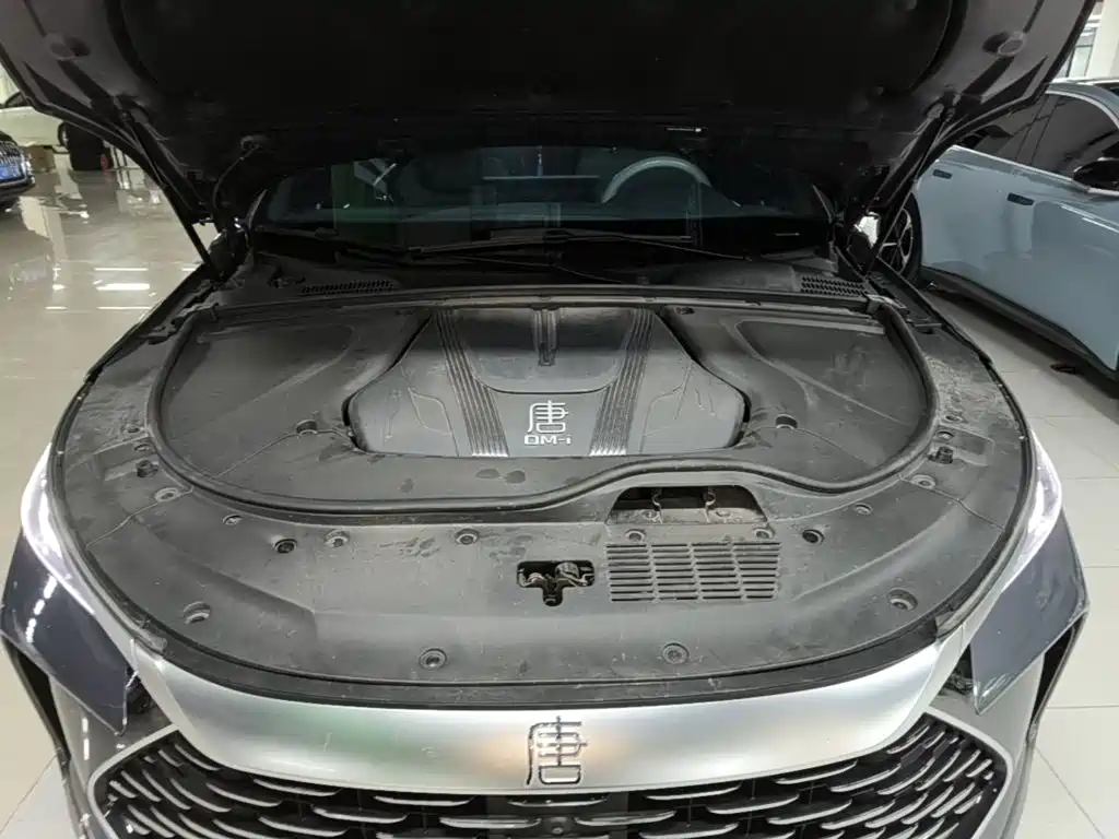 BYD Tang New Energy — миниатюра 20