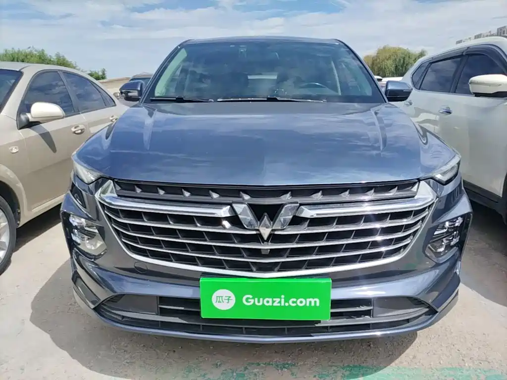 Wuling Victory — миниатюра 3