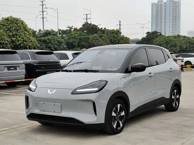 WULING WULING BINGGUO PLUS 2024