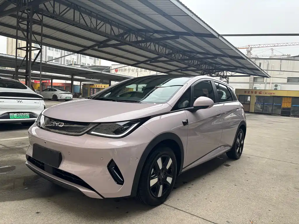 Byd Dolphin 2025