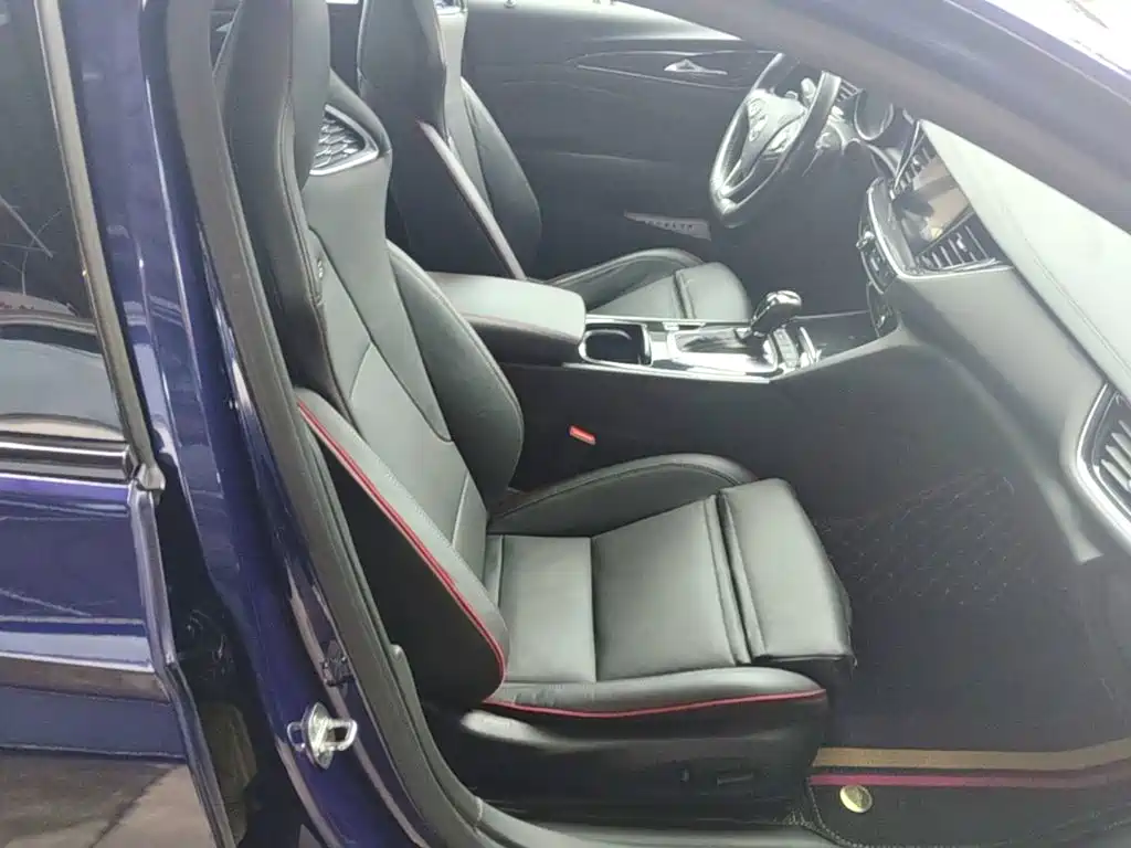 Buick Regal — миниатюра 25