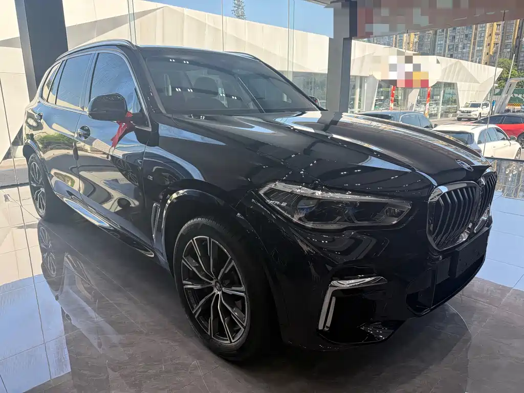BMW X5 — миниатюра 2