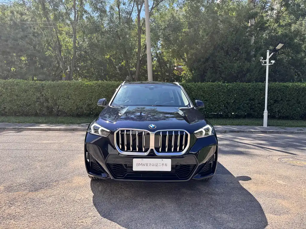 BMW X1 — миниатюра 2
