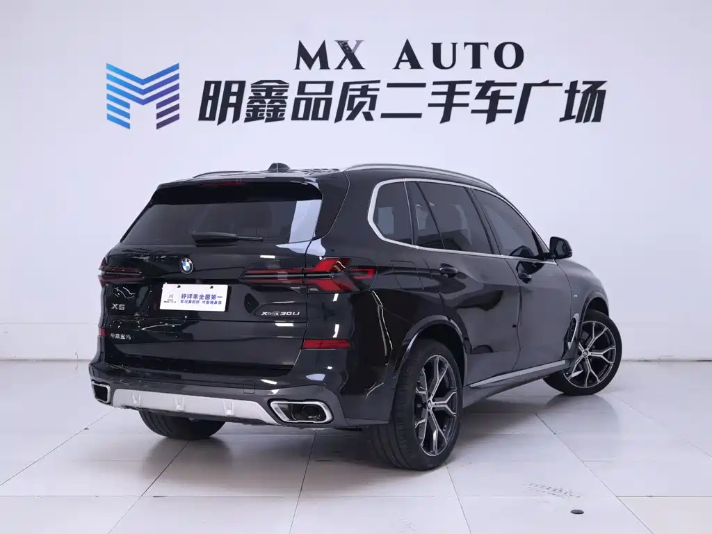 BMW X5 — миниатюра 7