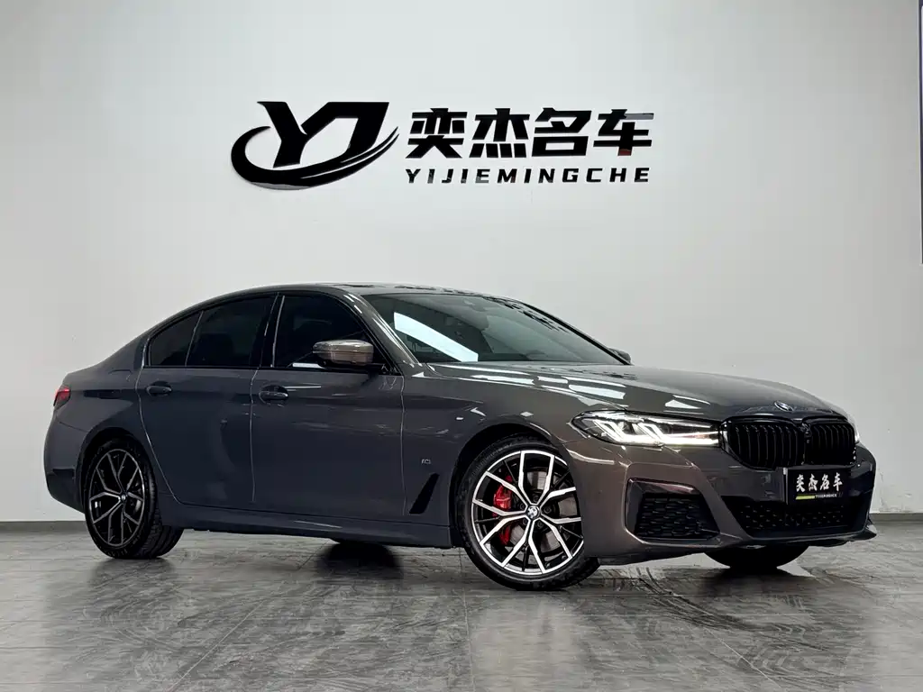 BMW 5 Series (Import) — миниатюра 3