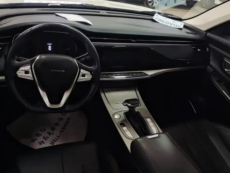 Oshan Oushang X7 — миниатюра 12
