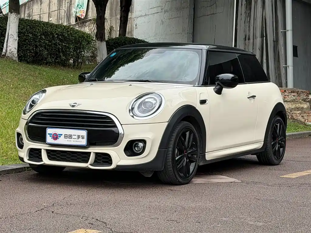 Mini Mini 2020