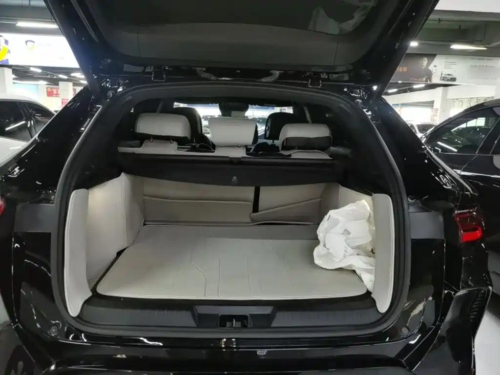 BYD PLUS New Energy — миниатюра 19