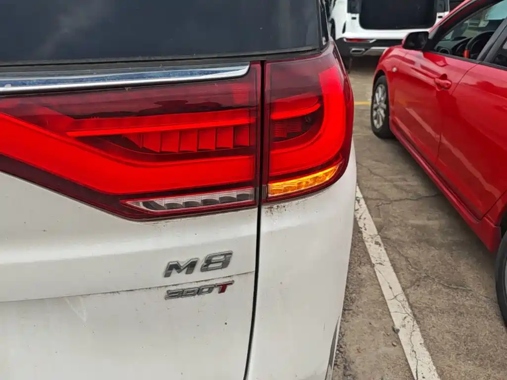 GAC Motor Trumpchi M8 — миниатюра 8