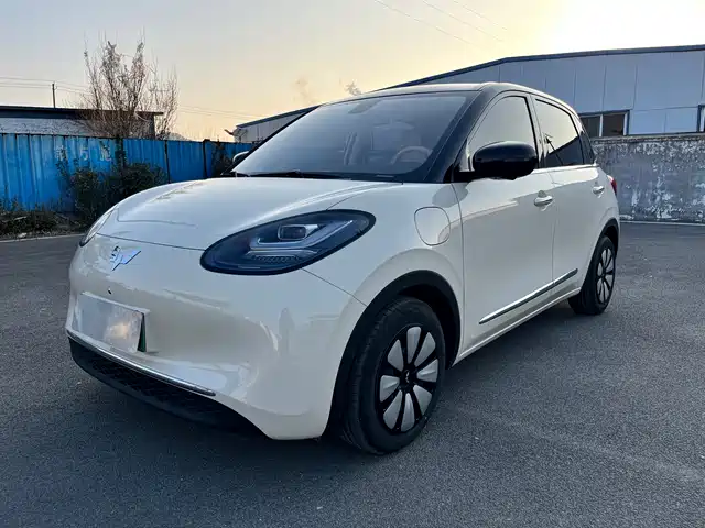 WULING WULING BINGGUO 2025