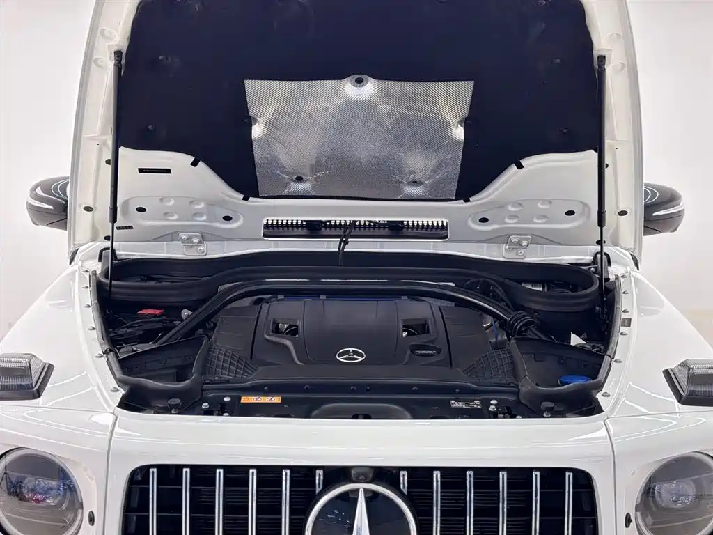 Mercedes-Benz G-Class G 2020 G 500