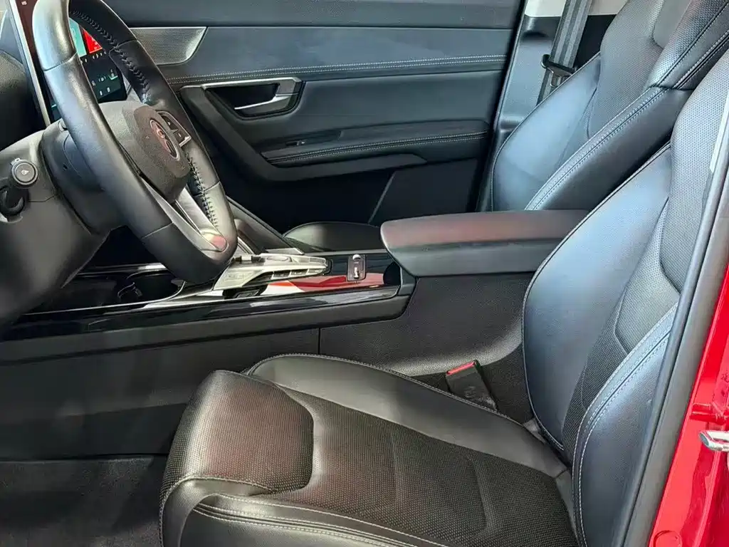 BYD Pro New Energy — миниатюра 8