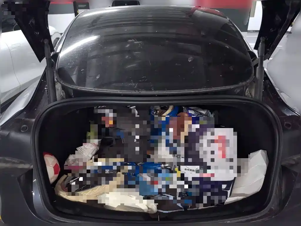 Tesla Model 3 — миниатюра 15