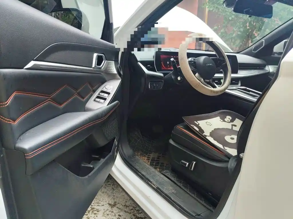 Haval Shenshou — миниатюра 12