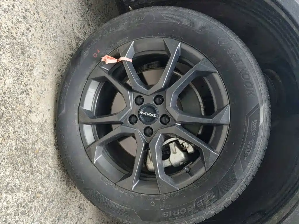 Haval Shenshou — миниатюра 24