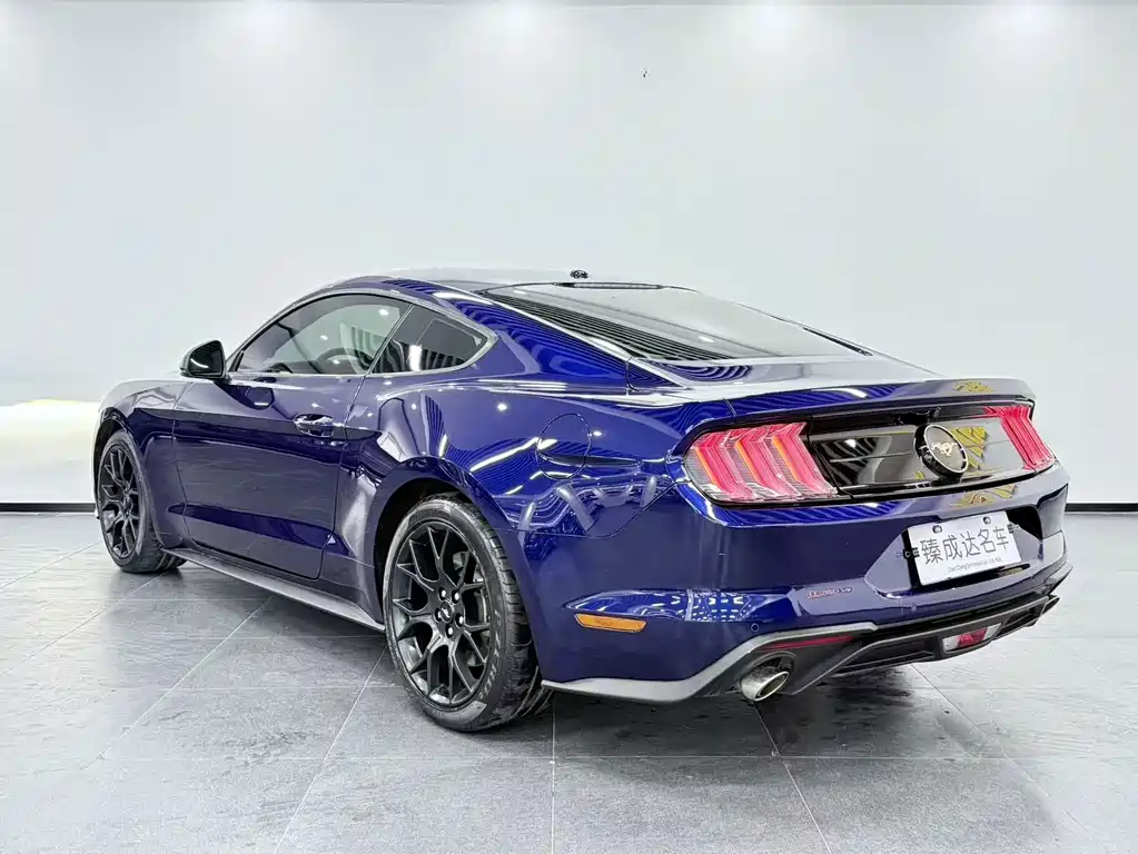Ford Mustang — миниатюра 3