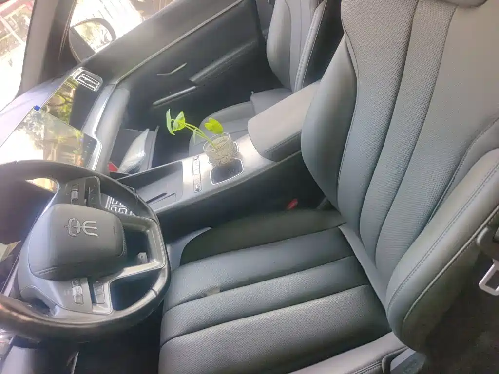 BYD Pro New Energy — миниатюра 11
