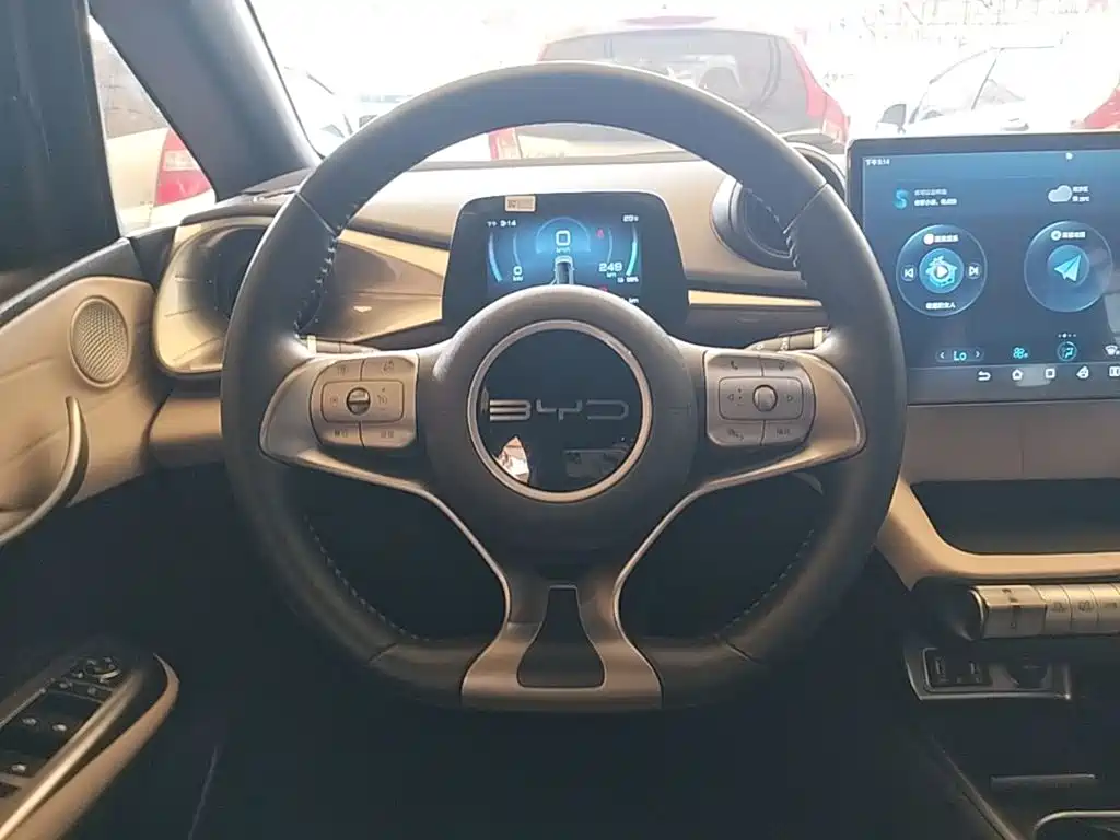 BYD Dolphin — миниатюра 11