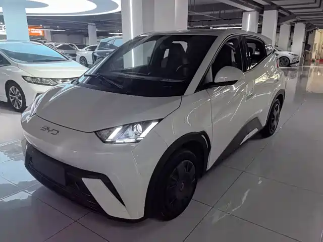 2023 BYD Seagull