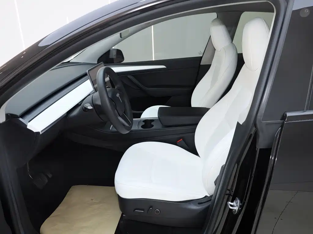 Tesla Model Y — миниатюра 22