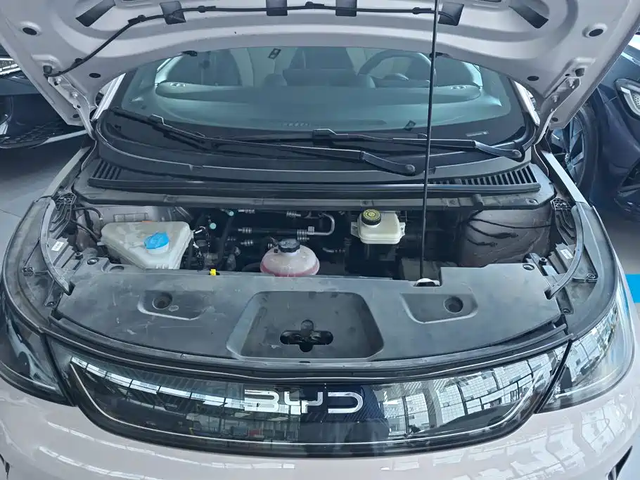 BYD Dolphin — миниатюра 10