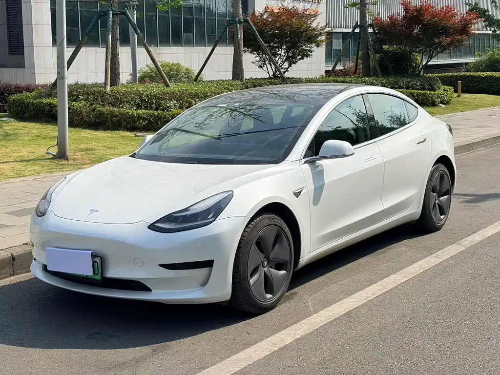 Tesla Model 3 2019