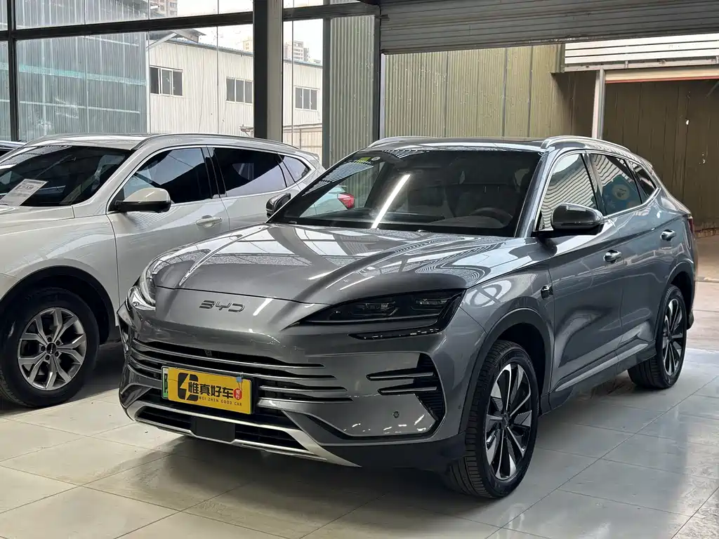 Byd PLUS New Energy 2025