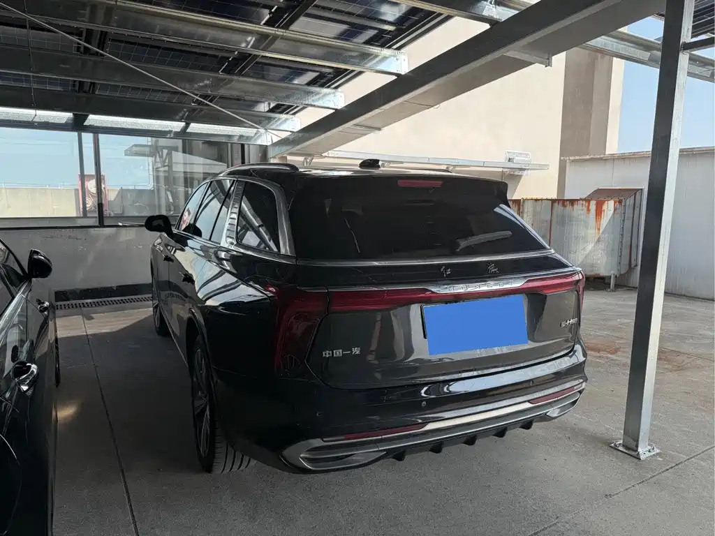 Hongqi Hongqi E-HS9 — миниатюра 10