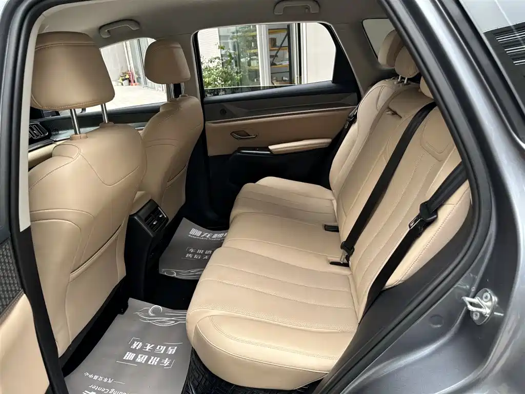 BYD Song Pro Pro 2025 DM-i 75KM Lead