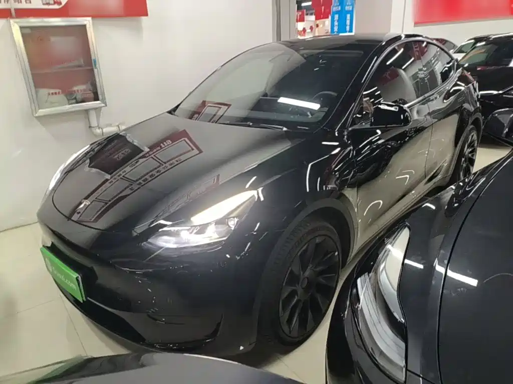 Tesla Model Y — миниатюра 2