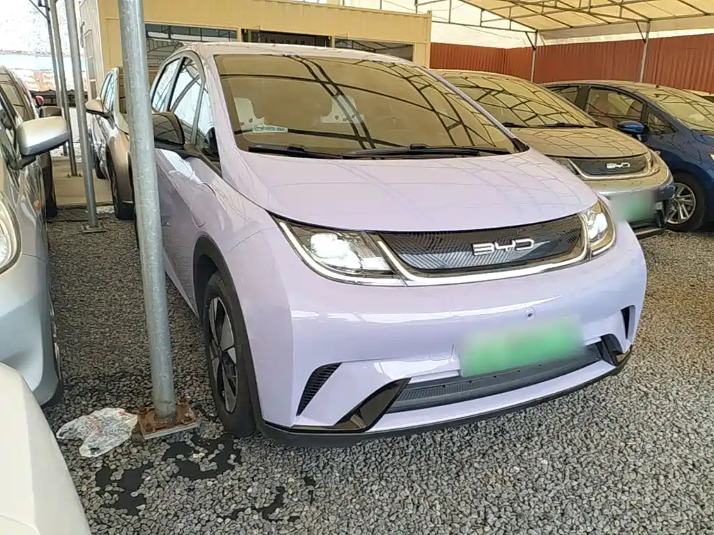 BYD Dolphin — миниатюра 4