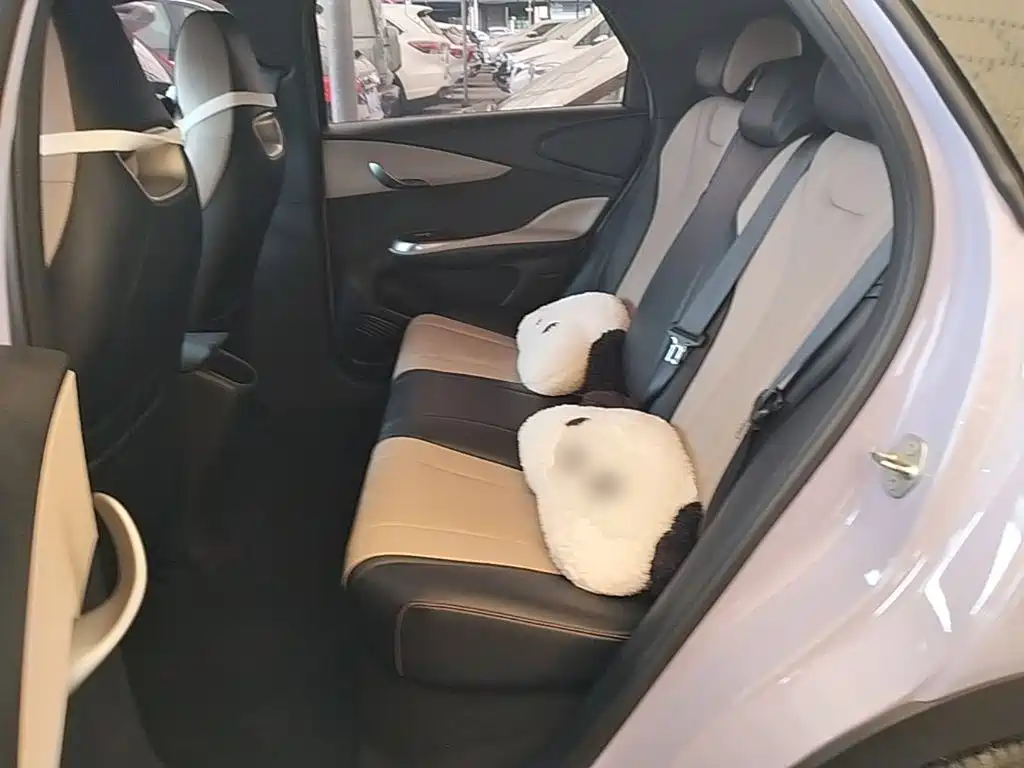 BYD Dolphin — миниатюра 17
