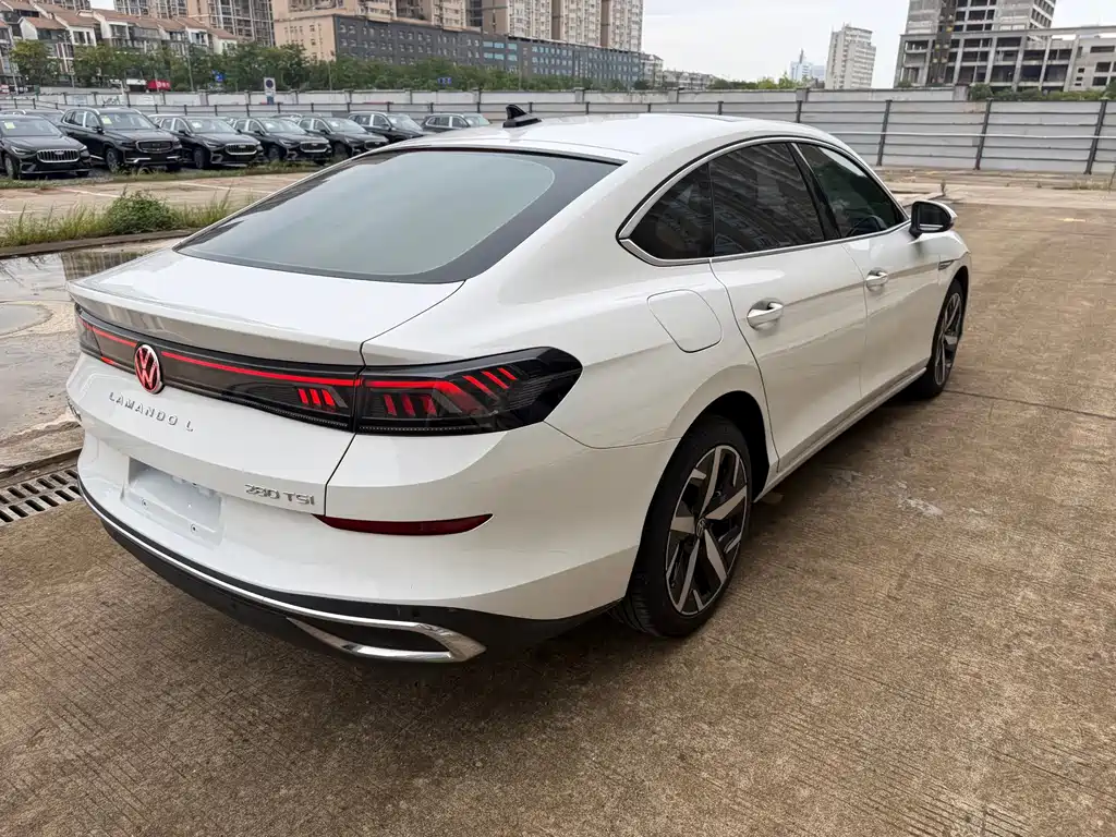 Volkswagen Lamando — миниатюра 11