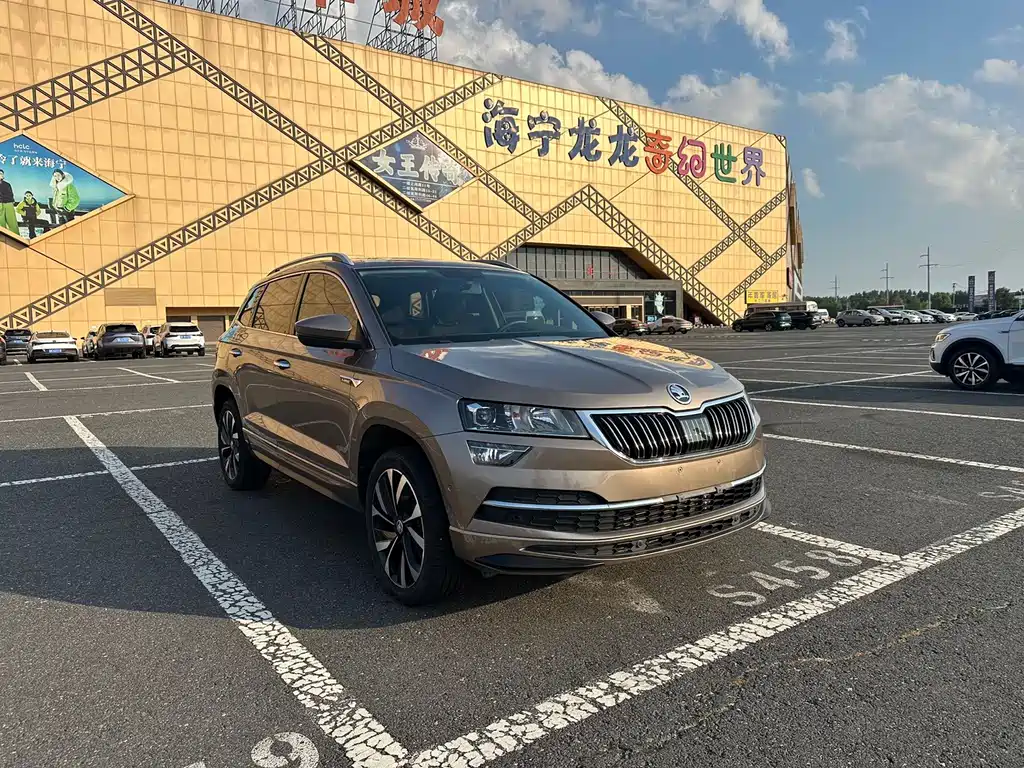 Skoda Karoq — миниатюра 2
