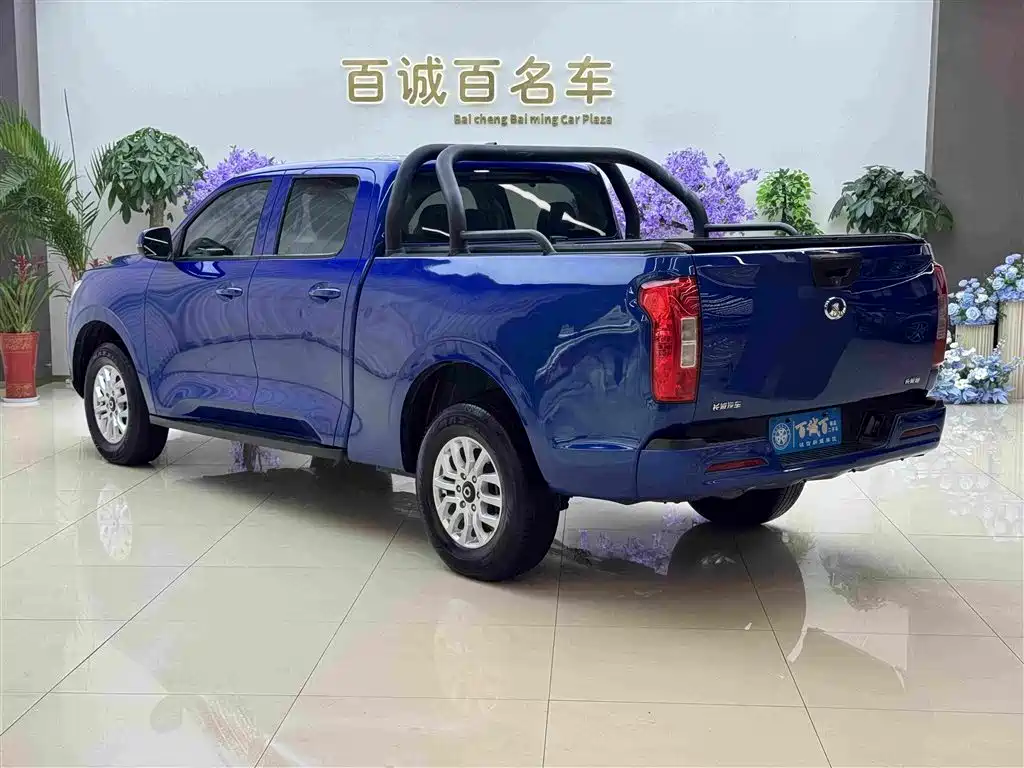Great Wall Pao — миниатюра 7