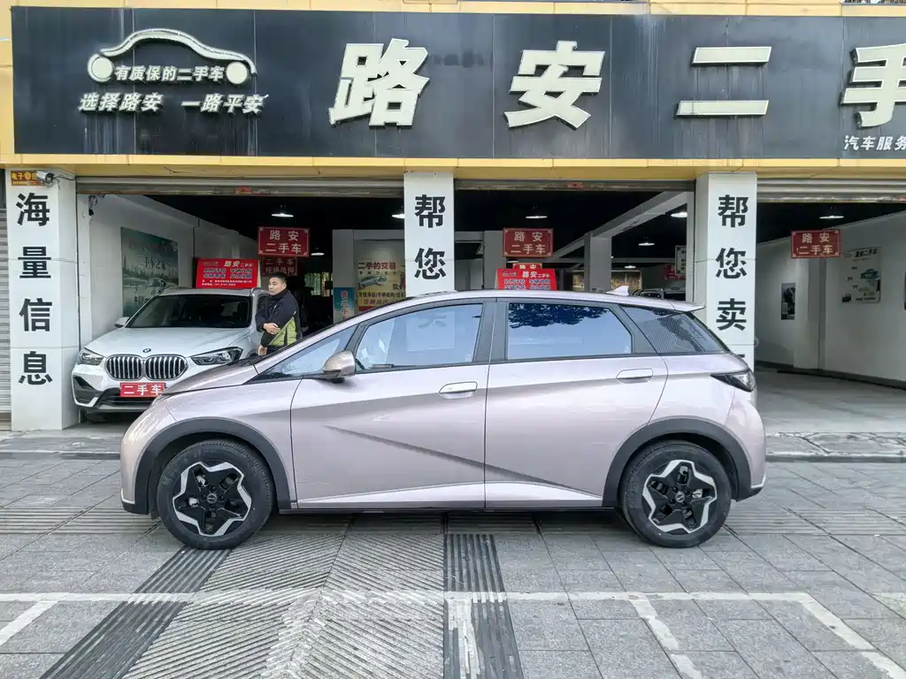BYD DOLPHIN