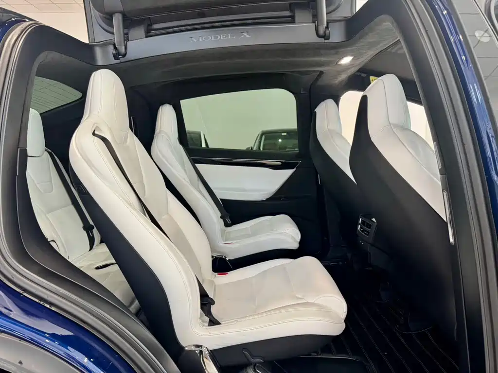 Tesla Model X — миниатюра 13