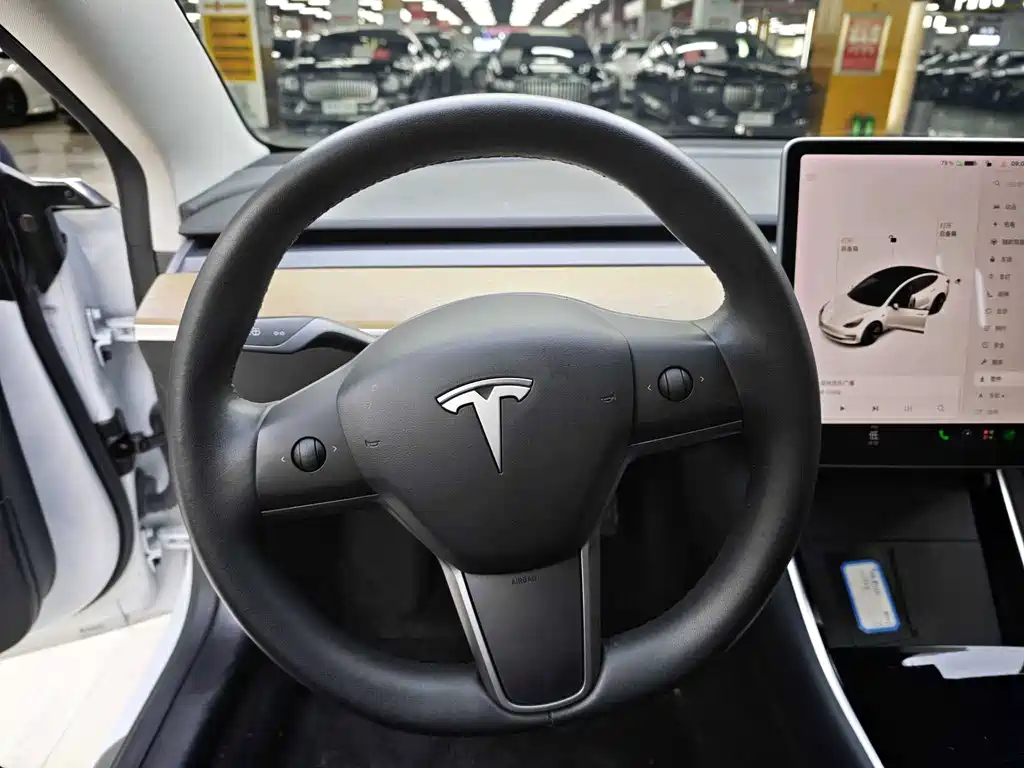 Tesla Model 3 — миниатюра 15