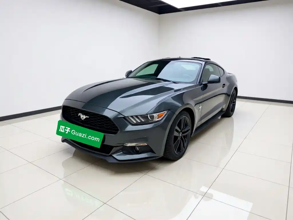Ford Mustang — миниатюра 2