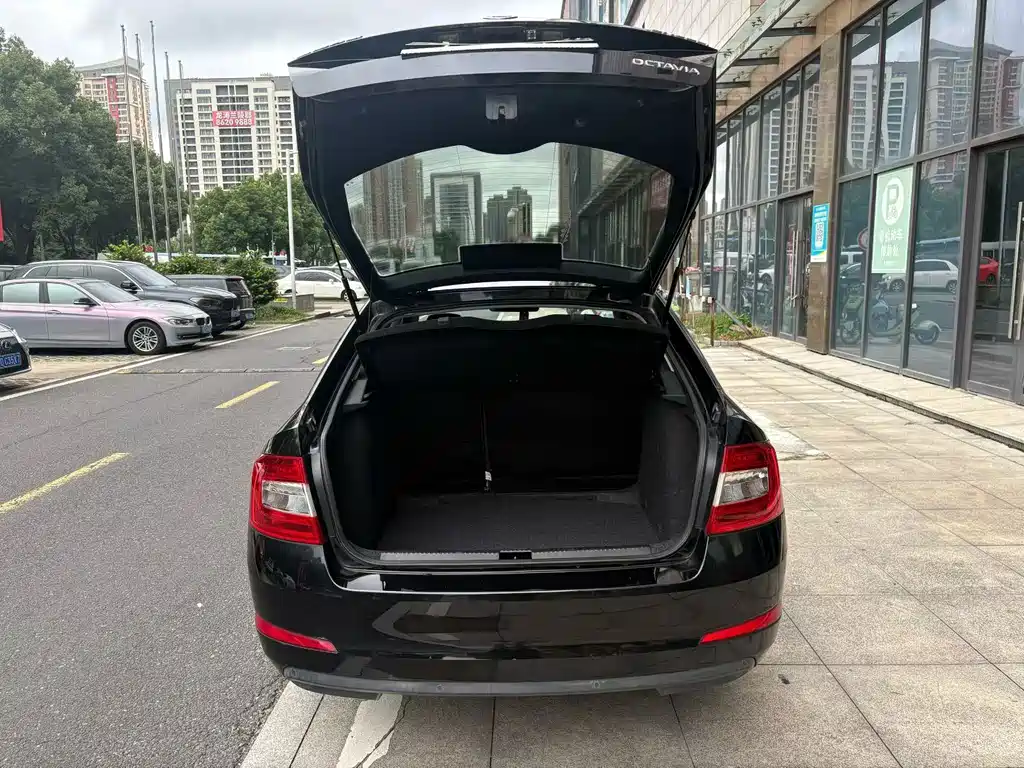 Skoda Octavia — миниатюра 7