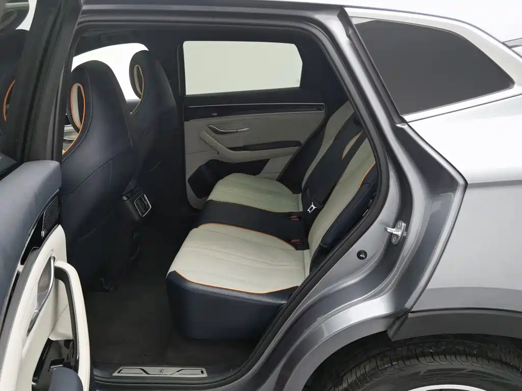 BYD PLUS New Energy — миниатюра 15
