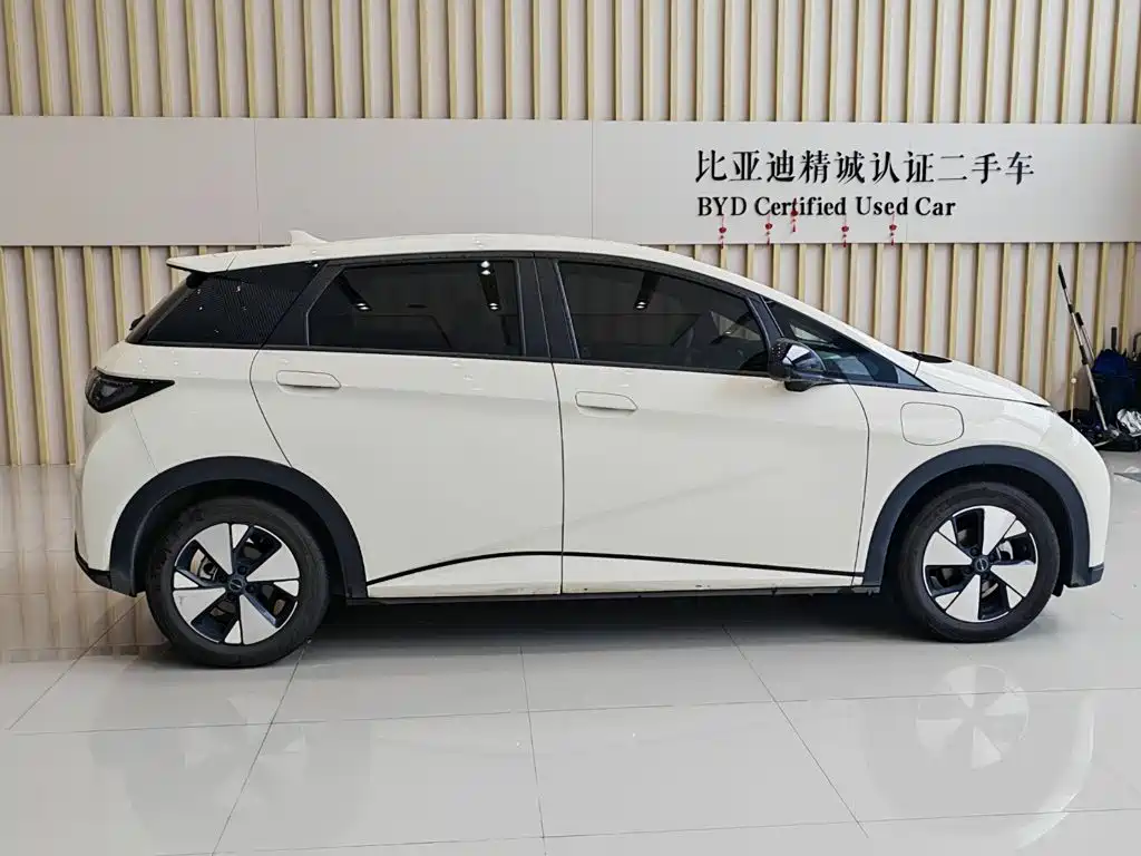BYD Dolphin — миниатюра 8
