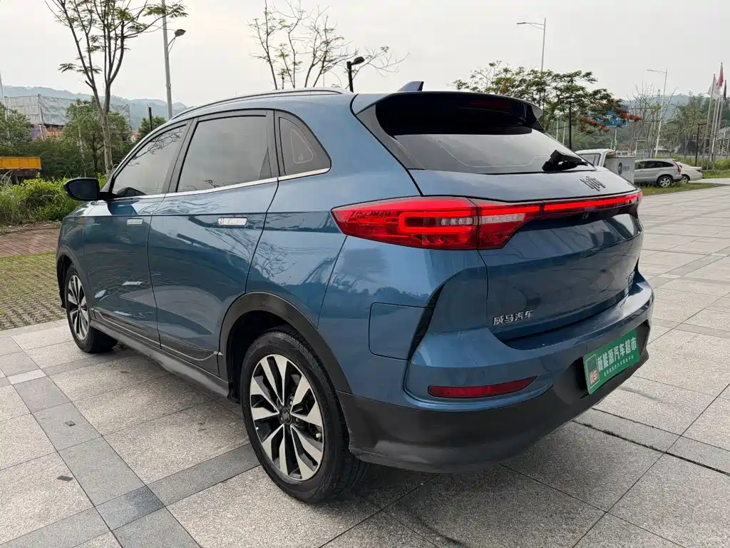 WM Motor EX5 — миниатюра 4